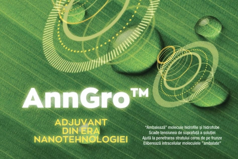 AnnGro - stimuleaza procesele biologice ale plantelor!  %Post Title