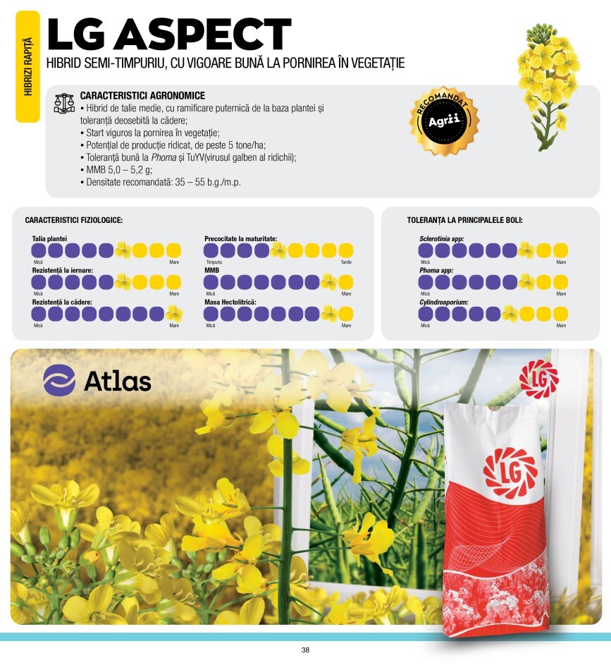 LG ASPECT  %Post Title