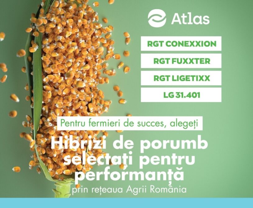 Alegeti hibrizii de porumb din reteaua Agrii Romania!  %Post Title