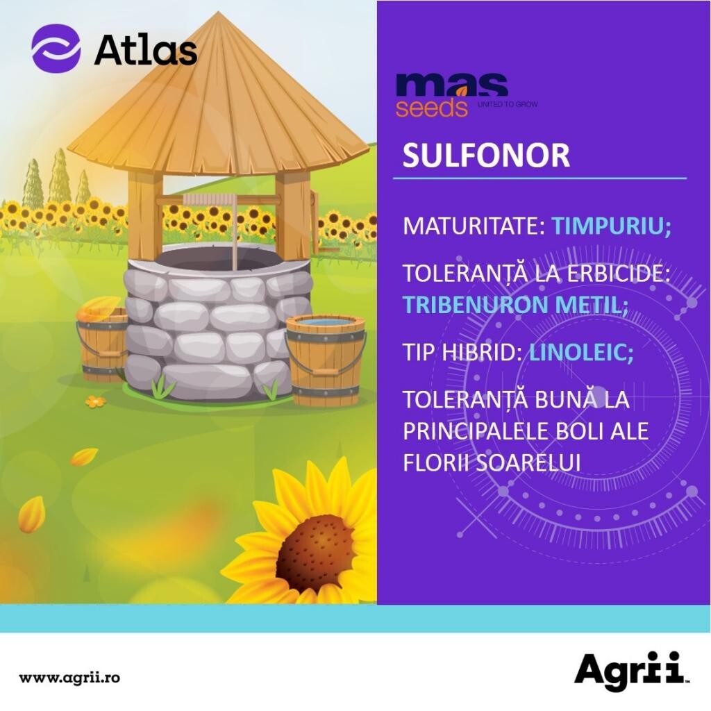 Recomandarea Agrii pentru campania de primavara: Hibridul de floarea-soarelui SULFONOR!  %Post Title