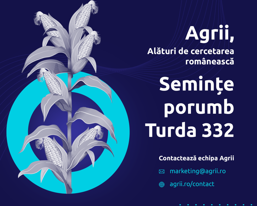 Recomandarea Agrii Romania: Alegeti samanta de porumb romaneasca, TURDA 332!  %Post Title