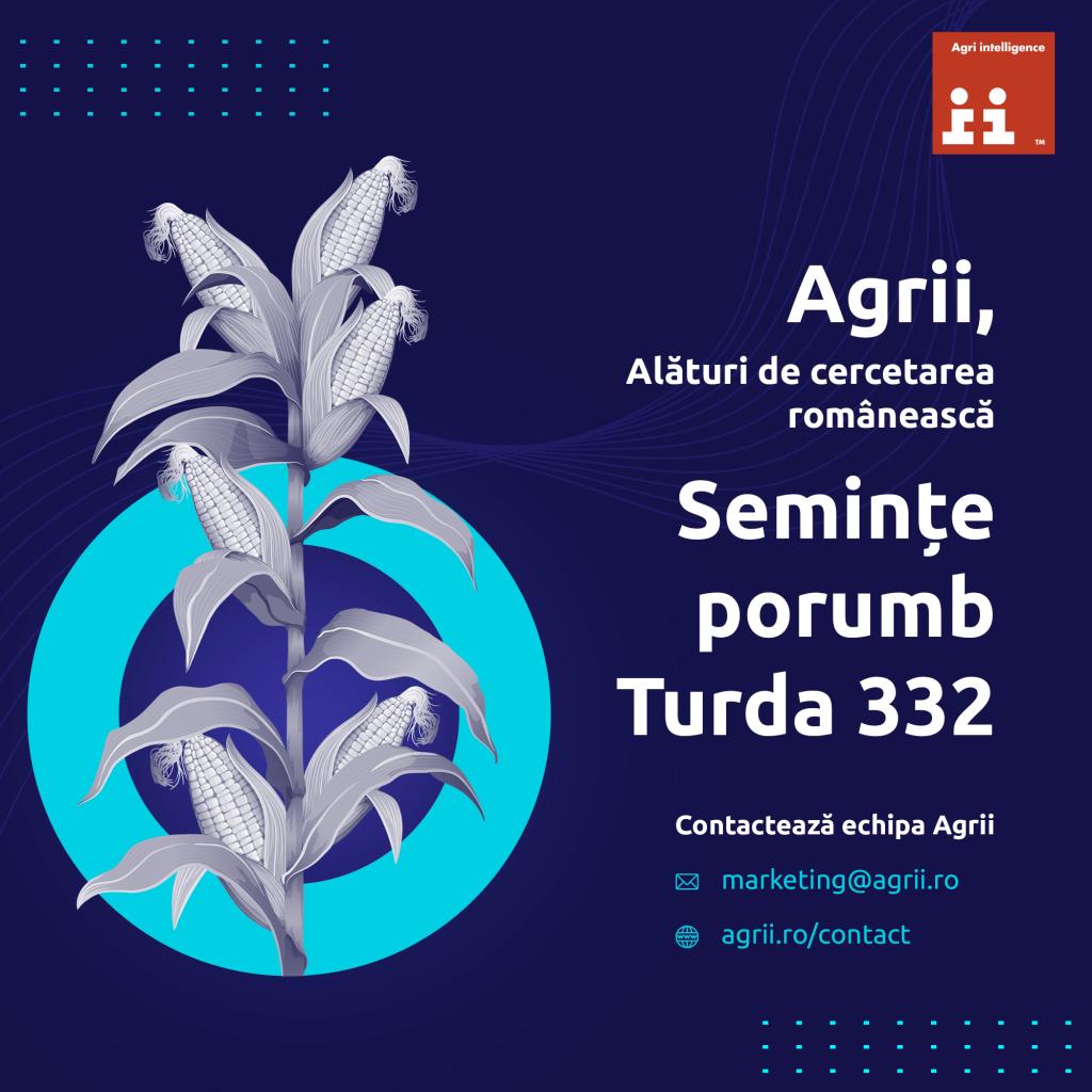 Recomandarea Agrii Romania: Alegeti samanta de porumb romaneasca, TURDA 332!  %Post Title