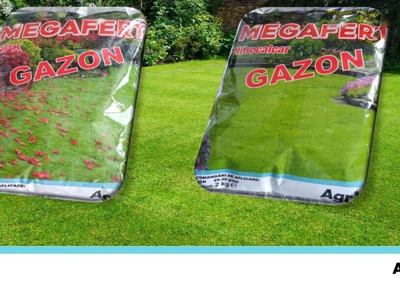 MEGAFERT NPK GAZON si MEGAFERT NITROCALCAR, recomandarea Agrii pentru un gazon impecabil!  %Post Title