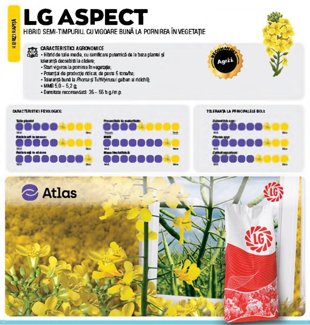 LG ASPECT- recomandarea Agrii pentru campania de toamna  %Post Title