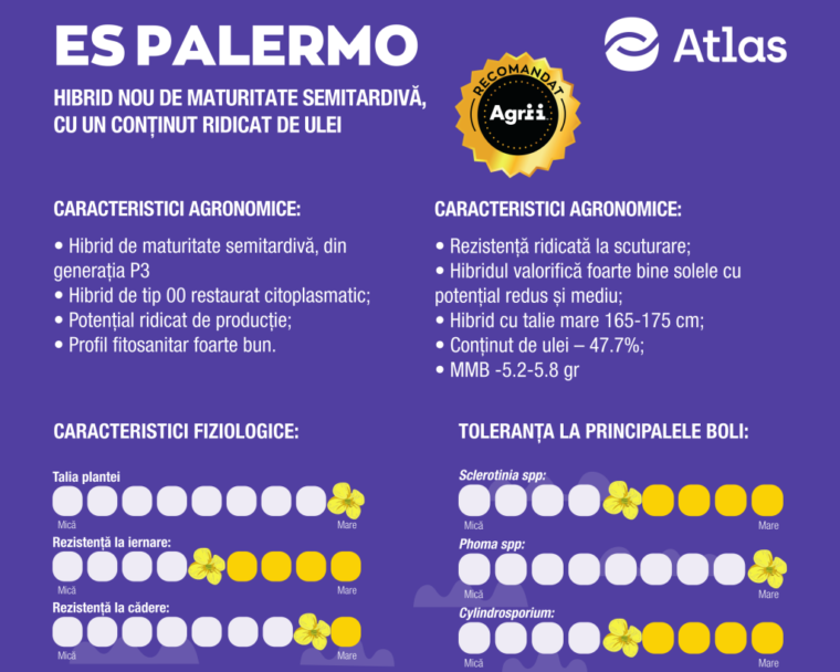 ES Palermo-hibrid de rapita din generatia P3: performanta, protectie, profitabilitate!  %Post Title