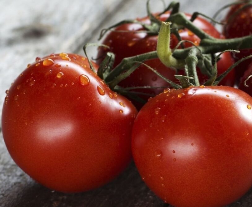 Tomate ca in gradina bunicii  %Post Title