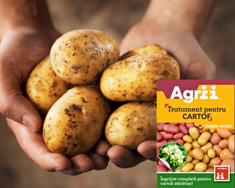 PACKet-ul complet pentru cartofii tai. Agrii Pack Cartof  %Post Title